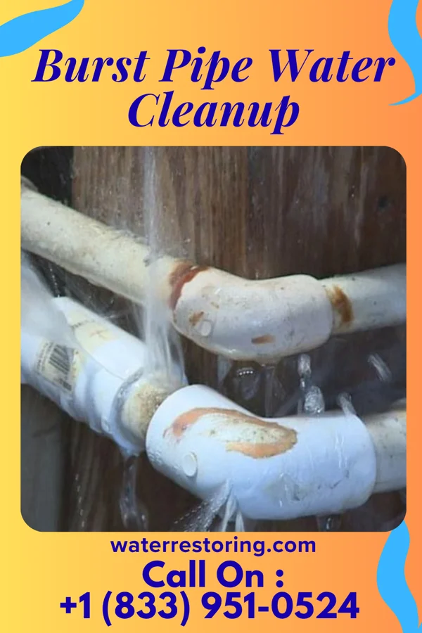 Burst Pipe Water Cleanup in Smithsburg, MD