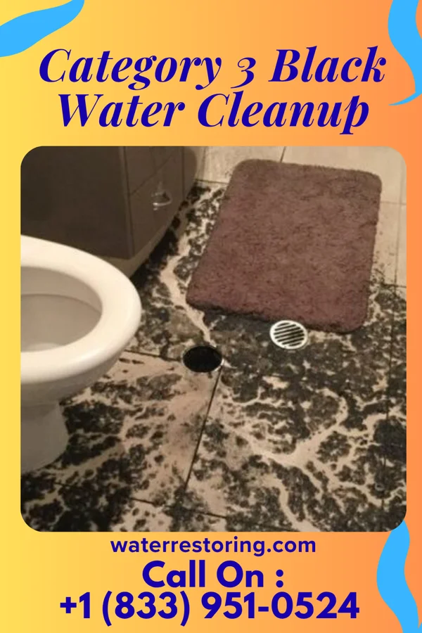 Category 3 Black Water Cleanup in Smithsburg, MD