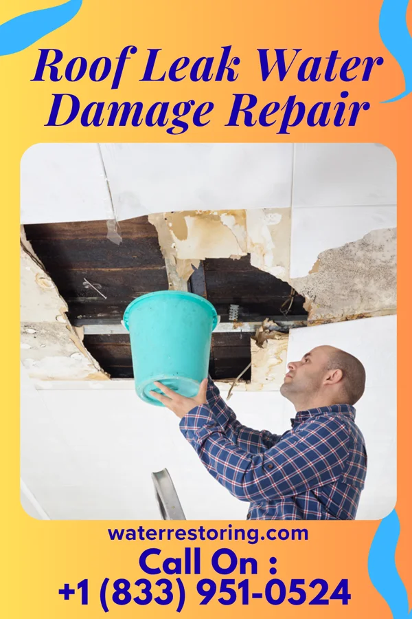 Roof Leak Water Damage Repair in Smithsburg, MD
