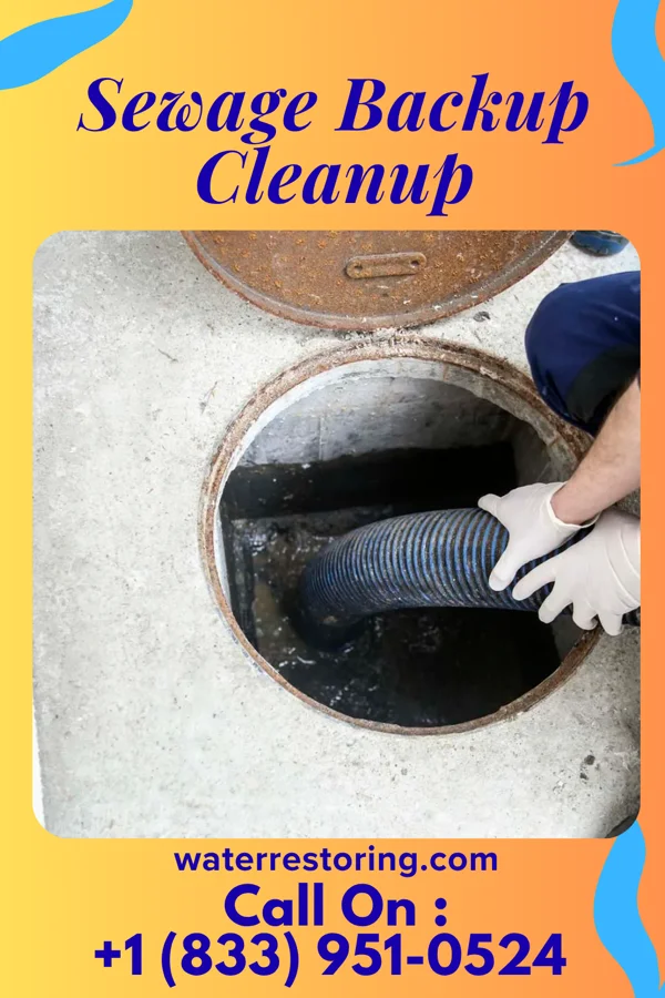 Sewage Backup Cleanup in Smithsburg, MD