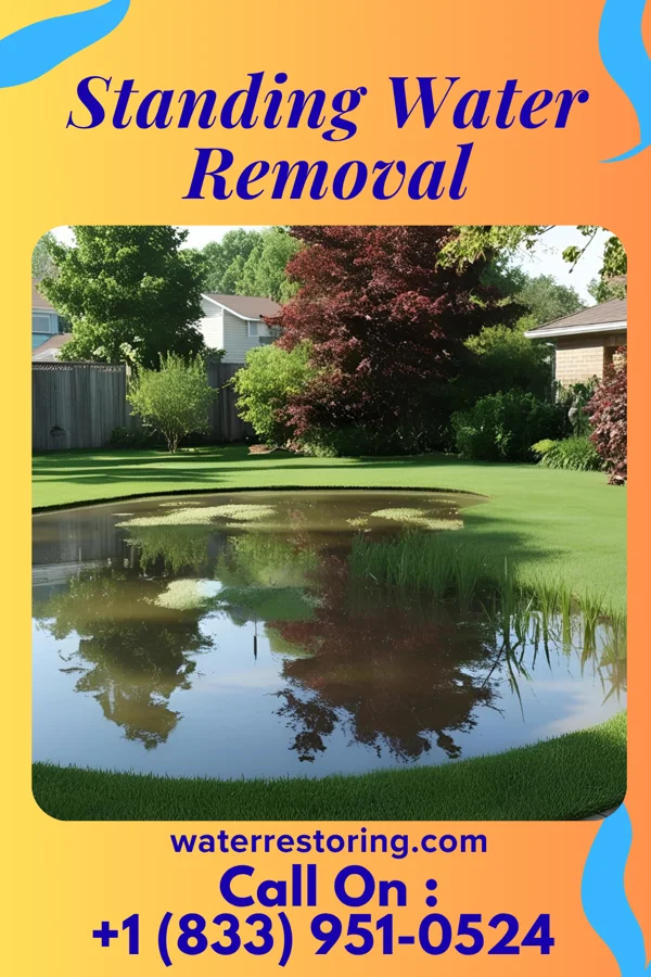 Standing Water Removal in Smithsburg, MD